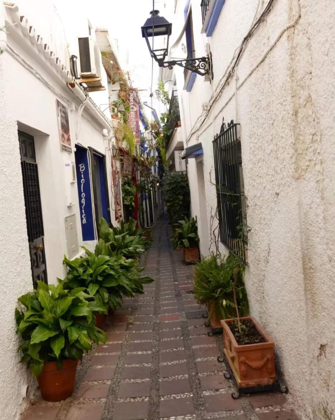 Casa La Tapita Apartment Marbella Exterior photo